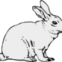 oca_lapin_blanc.png