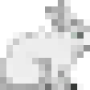 oca_lapin_blanc.png