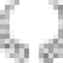 oca_laurier_2.png