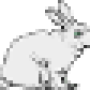 oca_lapin_blanc.png